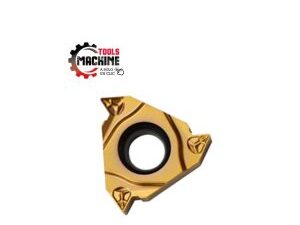 INSERTO ROSCADO INTERiOR RT22.01N-N60P-YBG201 10un